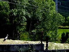DSCN1326 DSCN1326