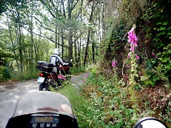DSCN3385 DSCN3385