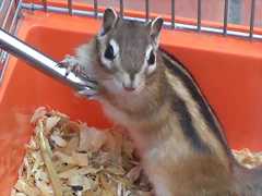 CIMG0229