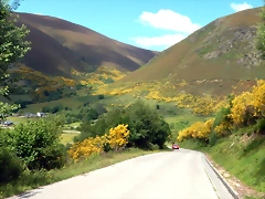 DSCN3137 DSCN3137