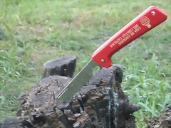 120520132896