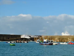 DSC_0546