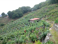 DSCN5147