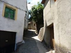 P1070202 P1070202