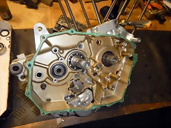 DSCN1736 DSCN1736