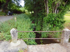DSCN4436 DSCN4436
