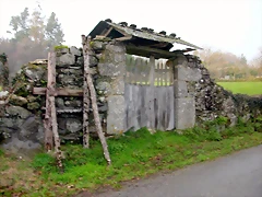 DSCN7251 DSCN7251