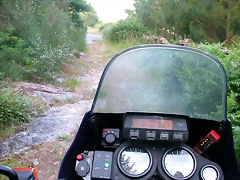 DSCN1208