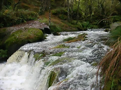 DSCN5767 DSCN5767