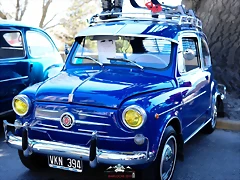 CAS_4031 CAS_4031