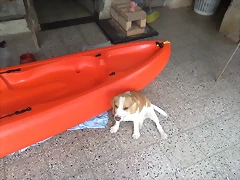 kayak 018