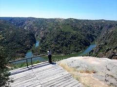 IMG_3577 IMG_3577