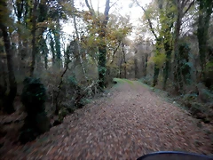 DSCN0742 DSCN0742
