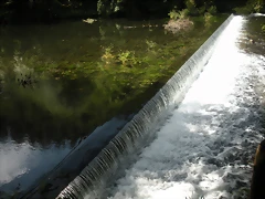 DSCN6166 DSCN6166