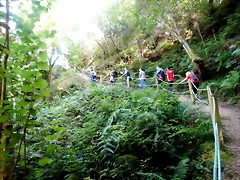 DSCN0702 DSCN0702