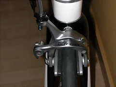 DSCN3825