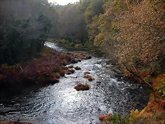 DSCN9278 DSCN9278