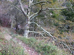 DSCN9280 DSCN9280
