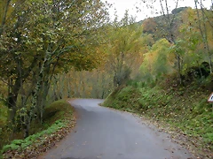 DSCN5915 DSCN5915