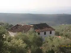 16, cortijo el arrayn, marca