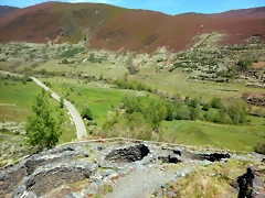 DSCN1023