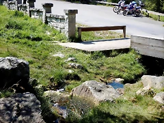 DSCN4952 DSCN4952