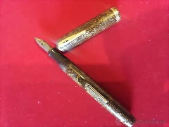 pluma waterman lizard pluma waterman lizard