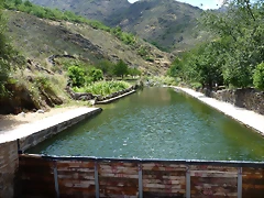 P1070232 P1070232