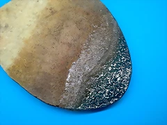 20190204_173017 20190204_173017