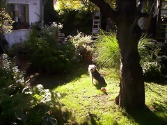 teddy_075 teddy_075