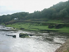 DSCN5405 DSCN5405