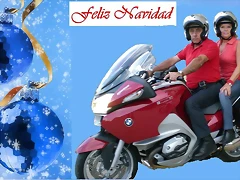 NAVIDAD HALCONES NAVIDAD HALCONES