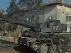 tiger1f_9763