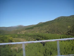IMG_0146 IMG_0146