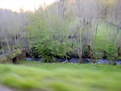 DSCN9153 DSCN9153