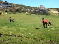 DSCN9599 DSCN9599