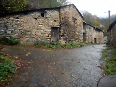 DSCN2798 DSCN2798
