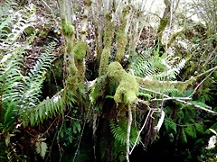 DSCN1095 DSCN1095