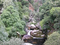 DSCN1887 DSCN1887