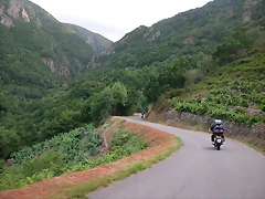 DSCN1882 DSCN1882