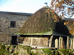 DSCN0428