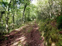 DSCN2092 DSCN2092