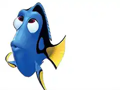 Dory