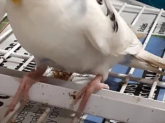 20190217_181042