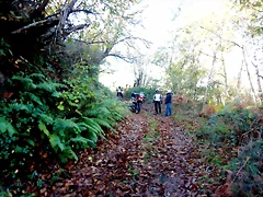 DSCN1410 DSCN1410