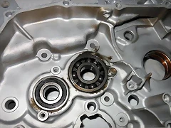 31