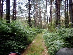 DSCN7683 DSCN7683