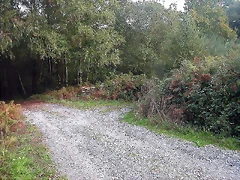 DSCN5282 DSCN5282
