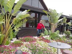 IMAG0029 IMAG0029