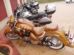 IMAG0082 IMAG0082